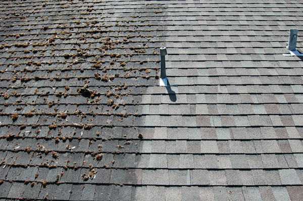 wash-safe-roof-before-and-after