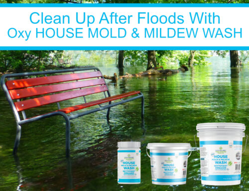 Clean Up After Floods With Oxy House Mold and Mildew Wash